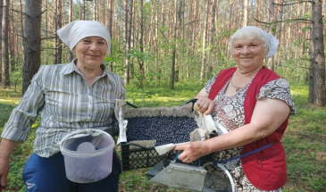 Дари лісу цьогоріч щедрі на врожай