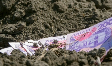 Екс-керівниця Держгеокадастру незаконно виділяла землю