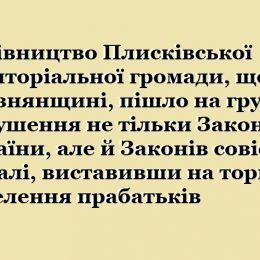 Чернігівщина: на аукціон виставили площу археологічної пам`ятки