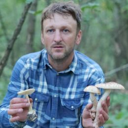 На Чернігівщині хлопець готує страви з мухоморів. Відео