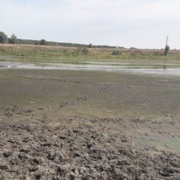 В єдиному озері майже повністю зникла вода