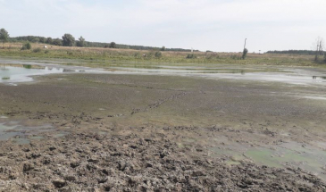 В єдиному озері майже повністю зникла вода