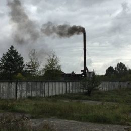 Завод по знищенню шкідливих відходів виявили на Чернігівщині. Відео