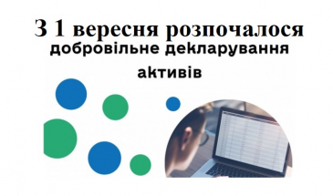 Держава надала шанс добровільно задекларувати свої активи