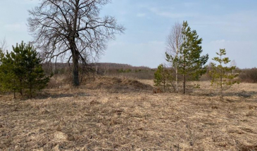 Державі повернули землі древнього поселення на Чернігівщині