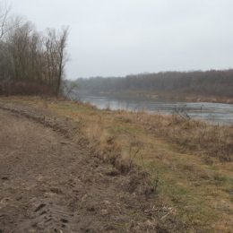 Незаконно розорені прибережні землі повернули державі