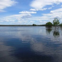 Фахівець спростовує міфи про повінь на Десні