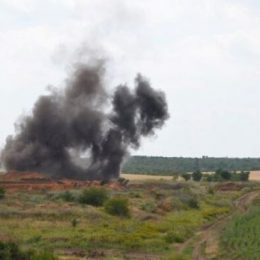 Хлібне поле рятують українські воїни