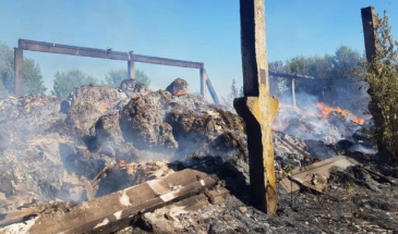 Фермерське господарство на Чернігівщині атаковане російськими ракетами