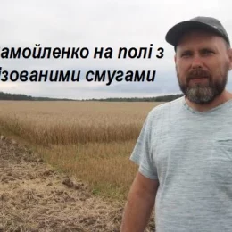 Прикордонна Чернігівщина: жнива під обстрілами