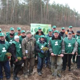 Лісівники Чернігівщини боронять рідну землю на передовій і вирощують ліси