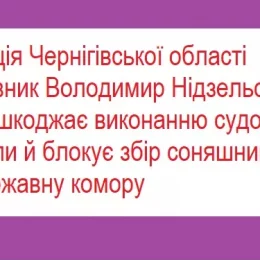 Поліція Чернігівщини блокує збір соняшника в державну комору