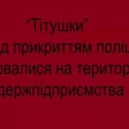 «Тітушки» з поліцією зламали сокирою двері держпідприємства