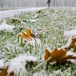 Чернігівщина: після снігу, морозу та ожеледиці очікується дощ