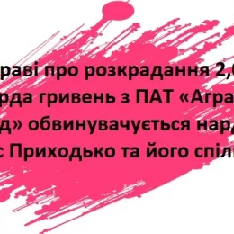 Що може забрати держава у народного депутата?