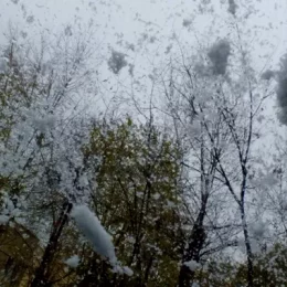 Чернігівщина: і дощ, і сніг очікуються на Новий рік