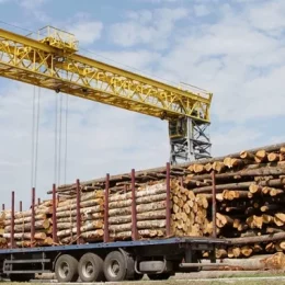 Лісогосподарські підприємства області сплатили 357,6 мільйона гривень податків
