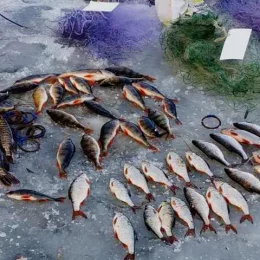 Наловив риби на 132 тисячі гривень збитків