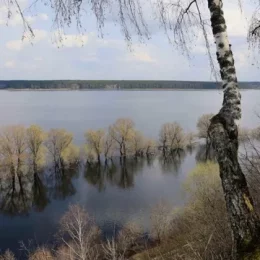 Водність великих річок на Чернігівщині — підвищена. Очікується — весняна повінь