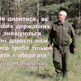 Державне підприємство отримало на Чернігівщині ділянки для відтворення лісів