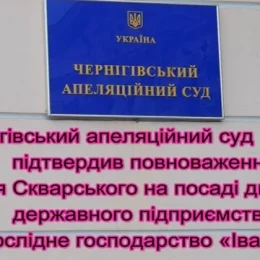 Чернігівський апеляційний суд розблокував роботу підприємства після блокади