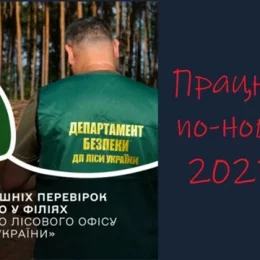 99 перевірок проведено у філіях Північного лісового офісу ДП «Ліси України»