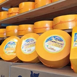 На Чернігівщині запустили у виробництво національний продукт «Сир традицій Сіверщини»