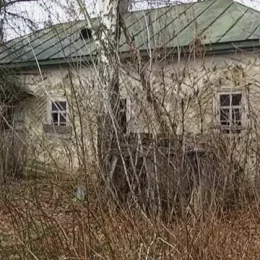 Чернігівщина: «Тіла на вулицях села штабелями лежали» — розповідь очевидців