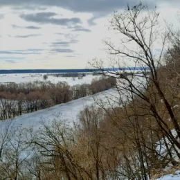 Мезинський національний природний парк на Чернігівщині відзначає 18 років