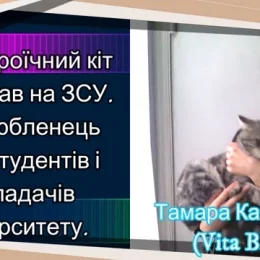 Картини, які створені у перервах між обстрілами та в бомбосховищі