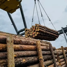 Фронту потрібно більше деревини