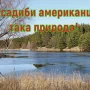 Американська мрія здійснюється в українському селі