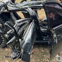 Двоє пасажирів загинули, двоє — травмовані внаслідок падіння дерева на авто