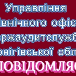 Аудитори Чернігівщини провели понад 200 фінансових контрольних заходів