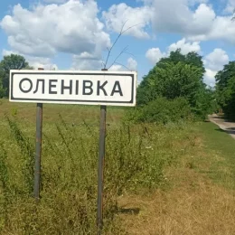 Як фермери з Півдня розвивають овочівництво на Чернігівщині