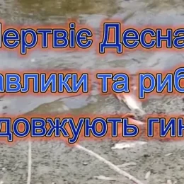 Мертвіє Десна! Равлики та риба продовжують масово гинути