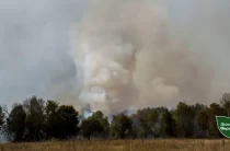 Чернігівщина: згорів самосійний ліс, який громада відмовилася передати ДП «Ліси України»