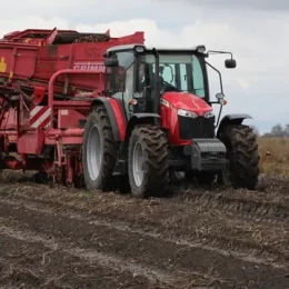 «Другий хліб» — одна з перших основ продовольчої безпеки України