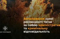 Понад 300 пожеж за тиждень ліквідували вогнеборці Чернігівщини