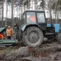 Водопілля не заважає висаджувати дерева