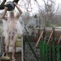Загартування у 83 роки: чоловік щодня обливається крижаною водою