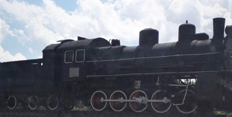 Екологи не змогли перевірити знищення дерев вздовж залізниці