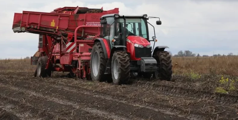 «Другий хліб» — одна з перших основ продовольчої безпеки України