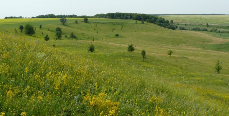 Час створювати нові парки й нові традиції