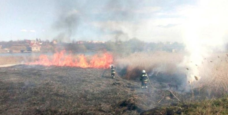 Два дні палає ліс навколо Чорнобиля