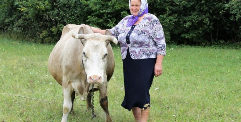 Пенсіонерка з Чернігівщини про корів дбає і на скутері ганяє…