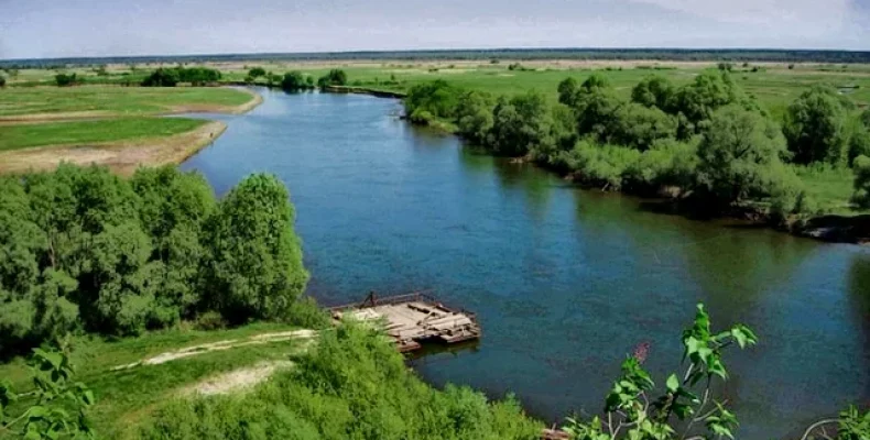 Десна – головна водна артерія, перлина і окраса Сіверського краю