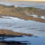 Рівень води в Десні біля Чернігова досяг майже критичної позначки