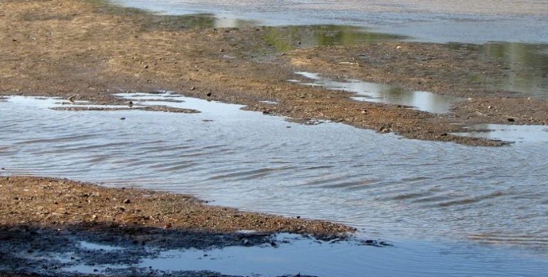 Рівень води в Десні біля Чернігова досяг майже критичної позначки