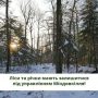 Кабмін планує передати ліси та річки в управління Мінагрополітики!